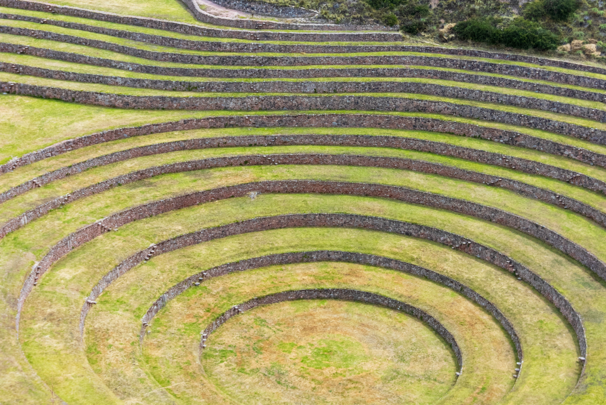 Turista Machu Picchu